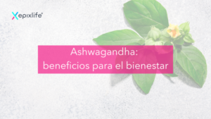 Lee más sobre el artículo Ashwagandha: beneficios para el bienestar